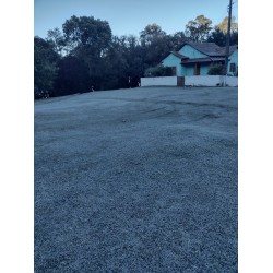 Campo Largo amanhece com temperatura negativa e geada